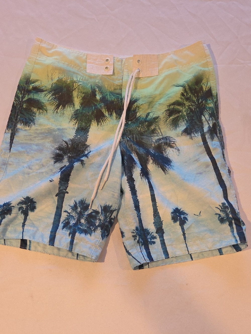 Hollister Teal & Navy Palm-Print Swim Board Shorts